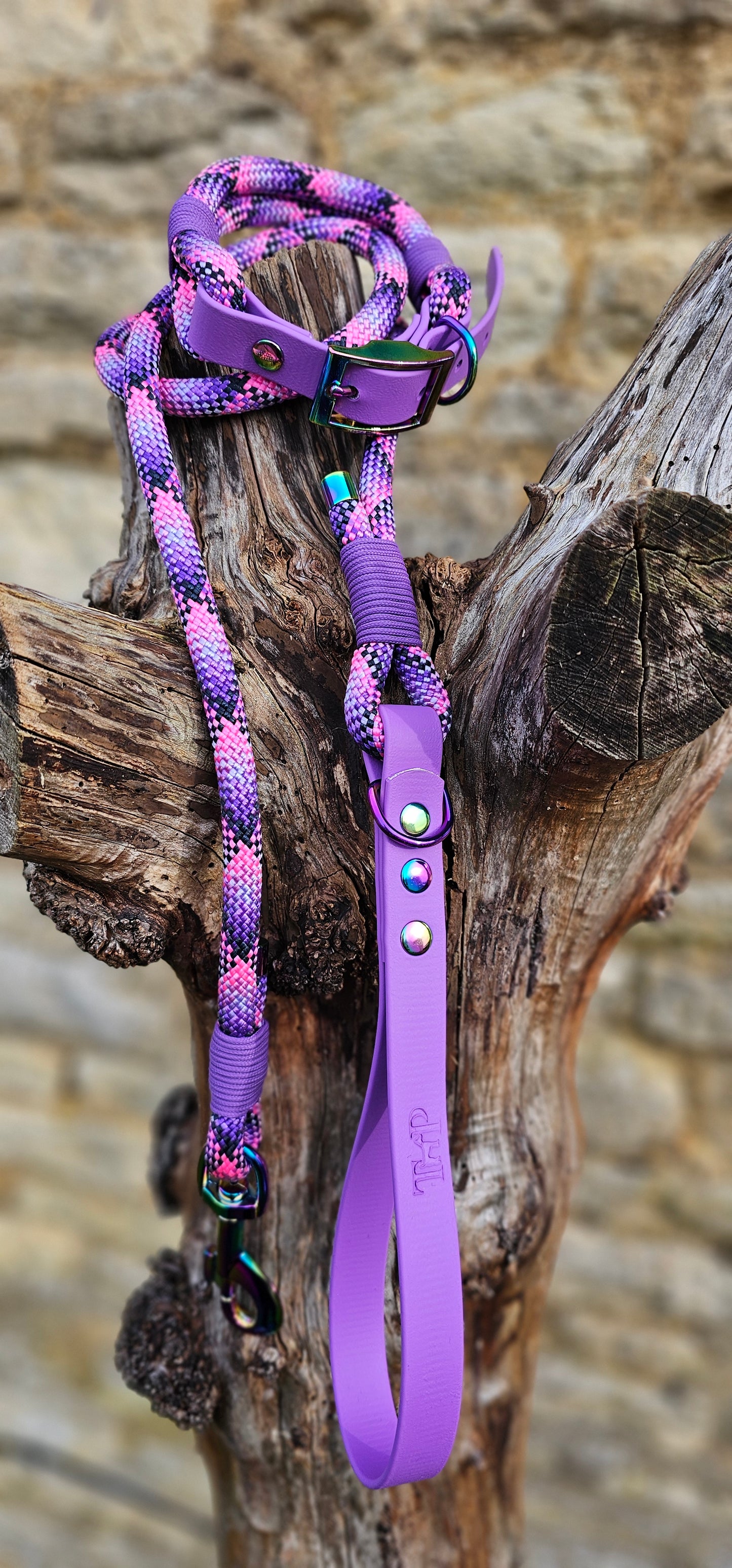 Cupcake - Classic Rope Dog Lead