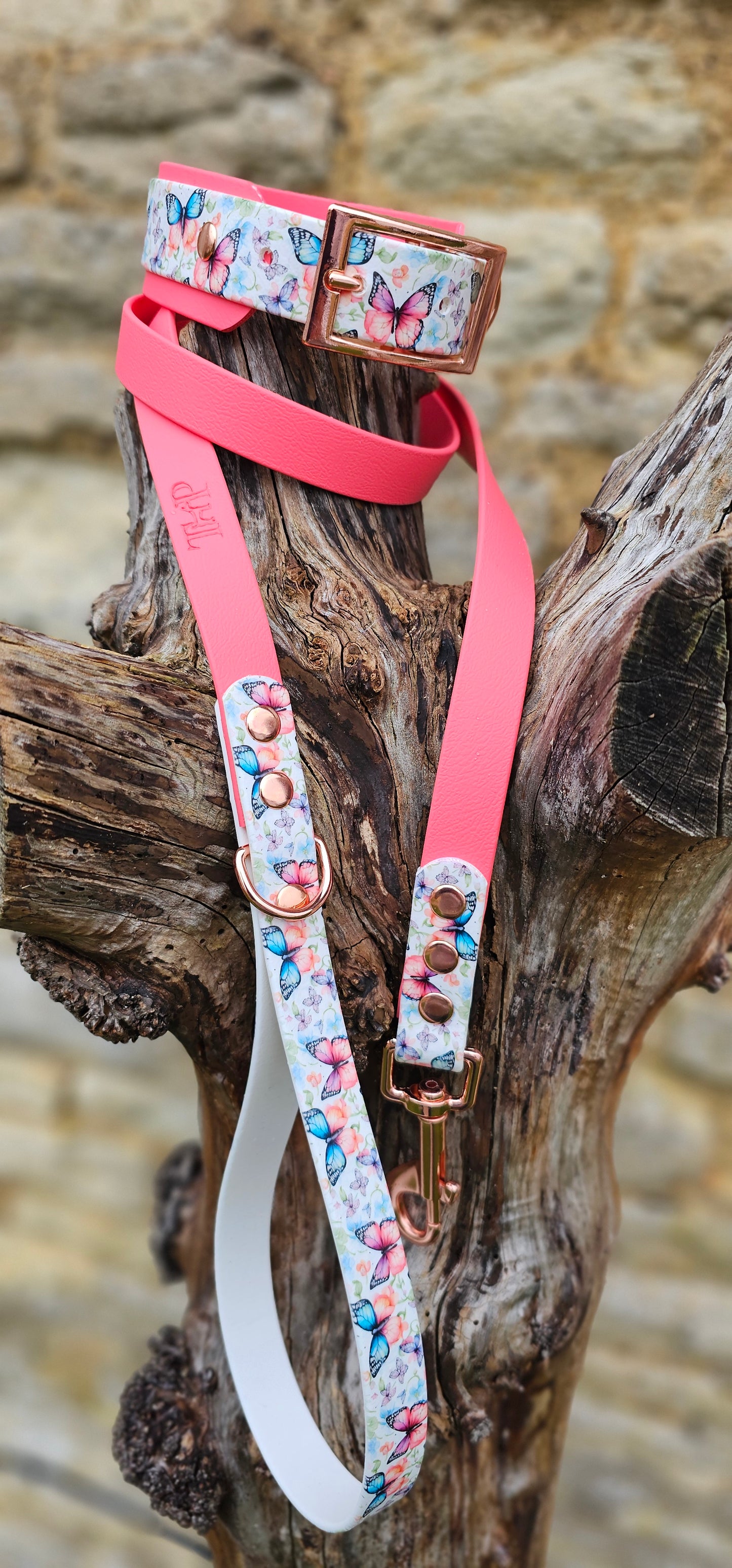 Butterfly Burst - Printed Waterproof BioThane© Dog Lead