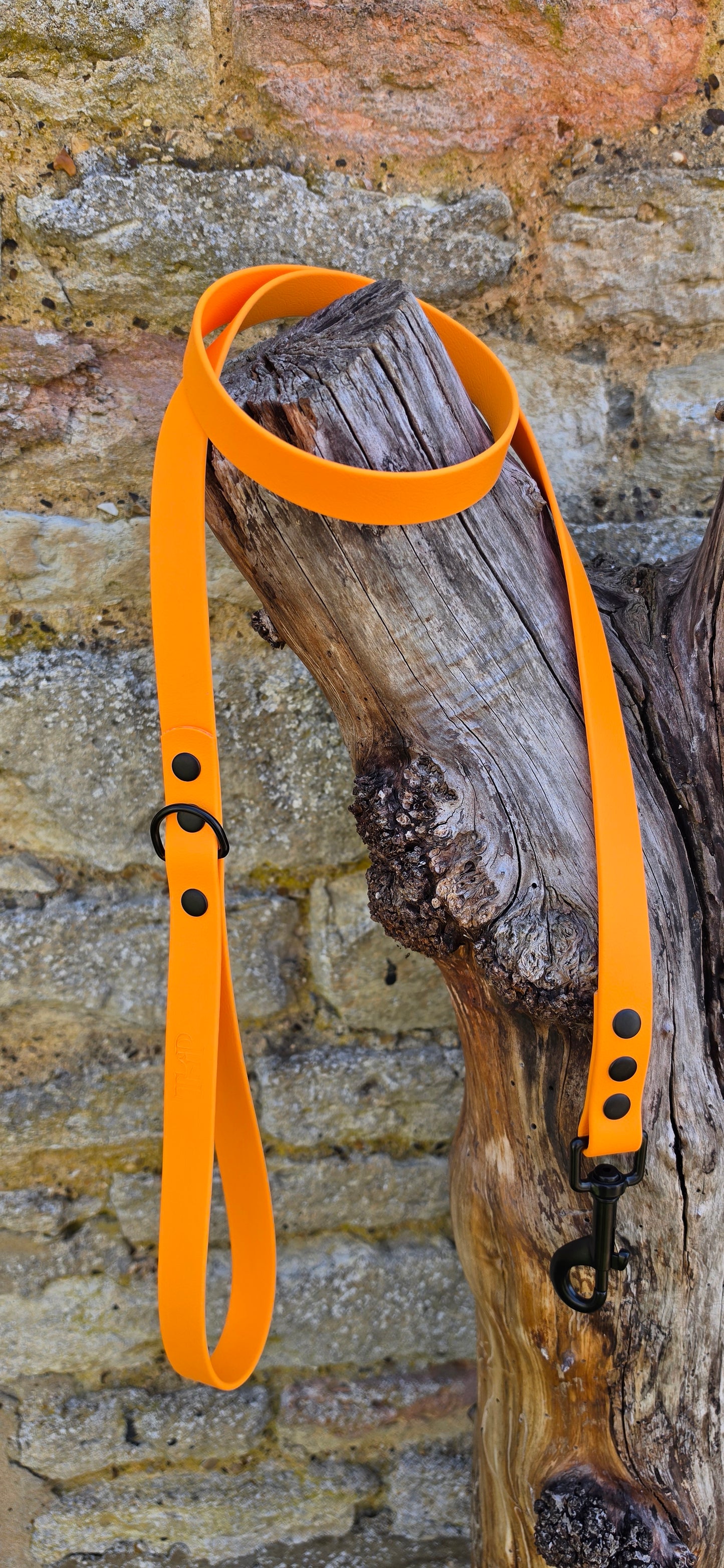 Orange - Waterproof BioThane© Dog Lead