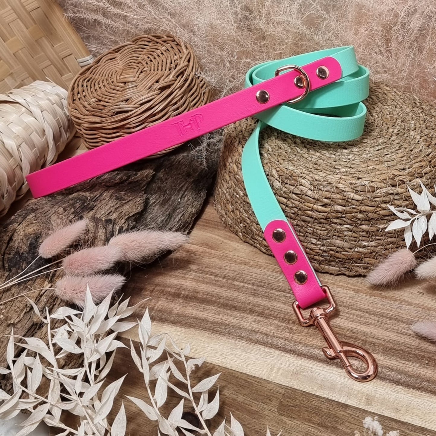 Mint & Neon Pink RG - (120cm length / Regular) Biothane Dog Lead