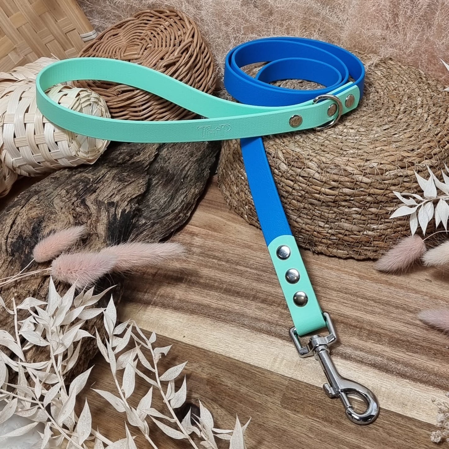 Blue& Mint SI - (120cm length / Regular) Biothane Dog Lead