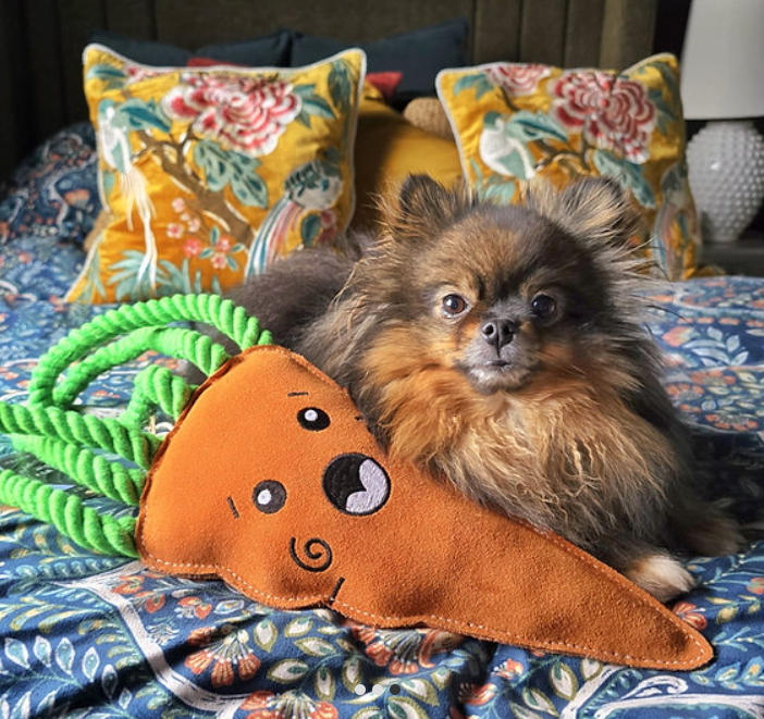 Copper - Carrot Eco Toy