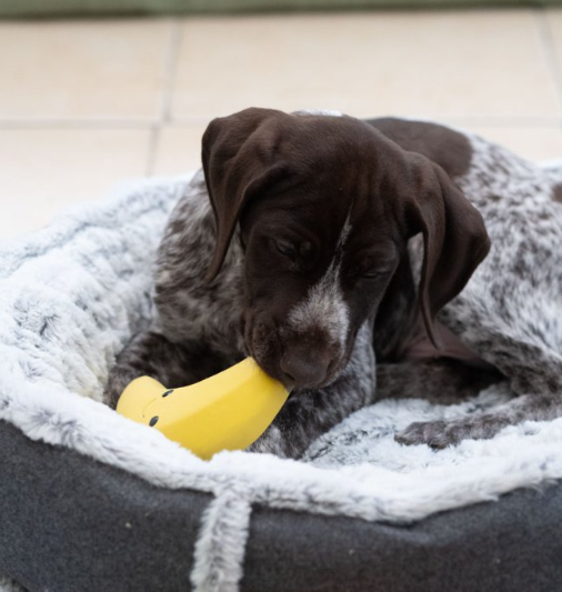 Banana Latex Dog Toy