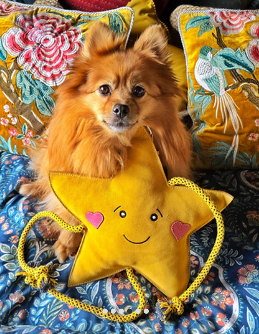 Aurora - Christmas Star Eco Toy