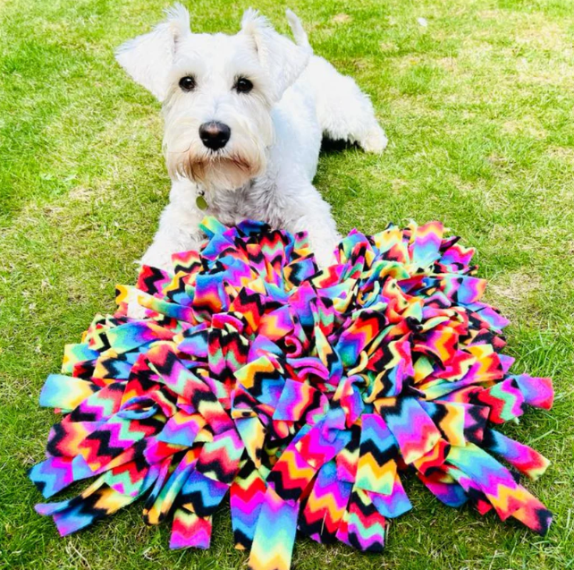 Handmade Snuffle Mat & Enrichment Puzzle