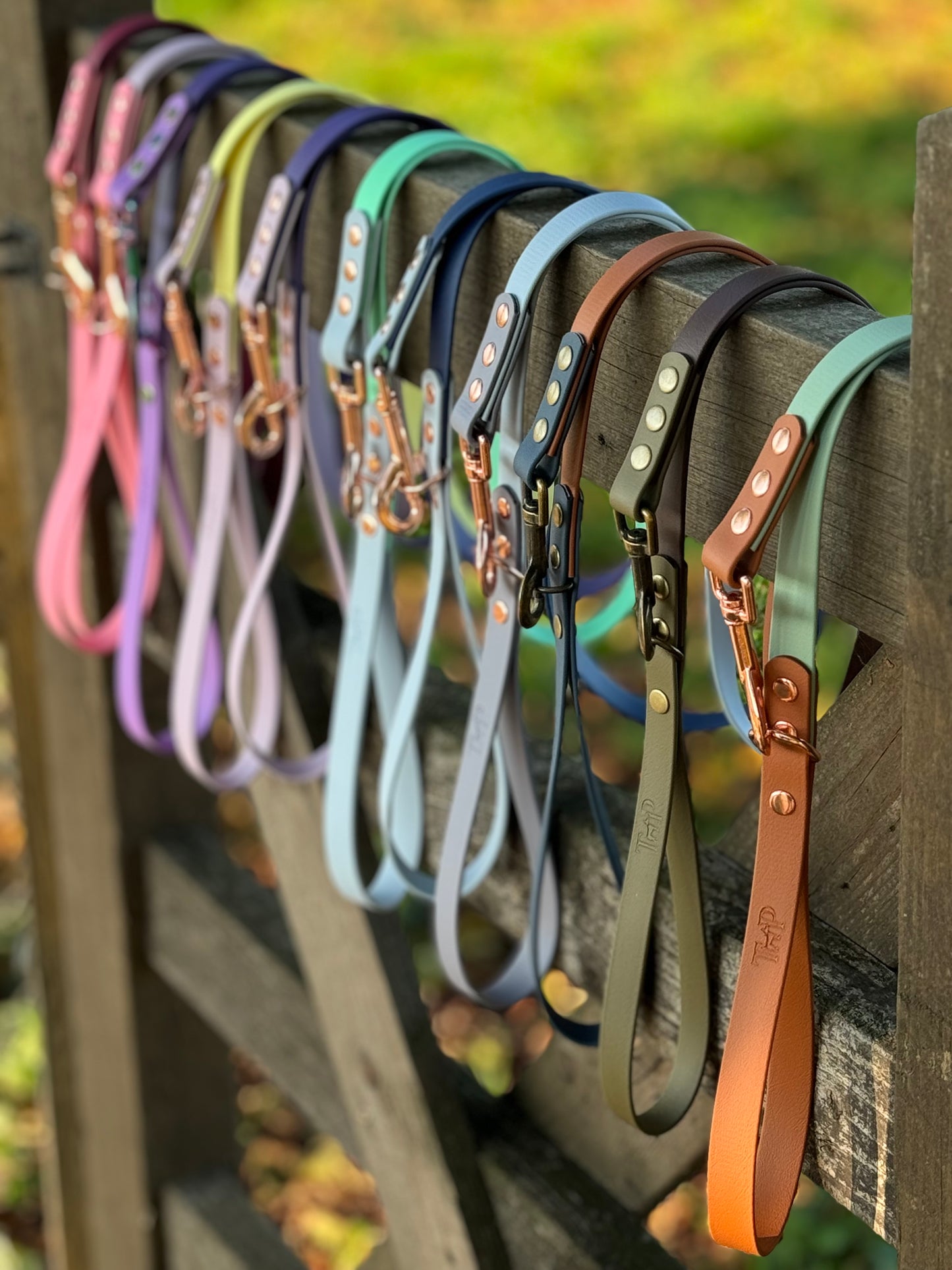Mystery Waterproof BioThane© Dog Lead
