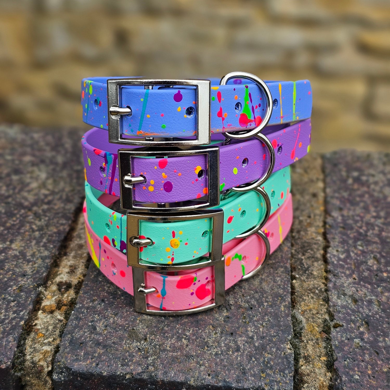 DOG COLLARS – Winter Clearance SALE