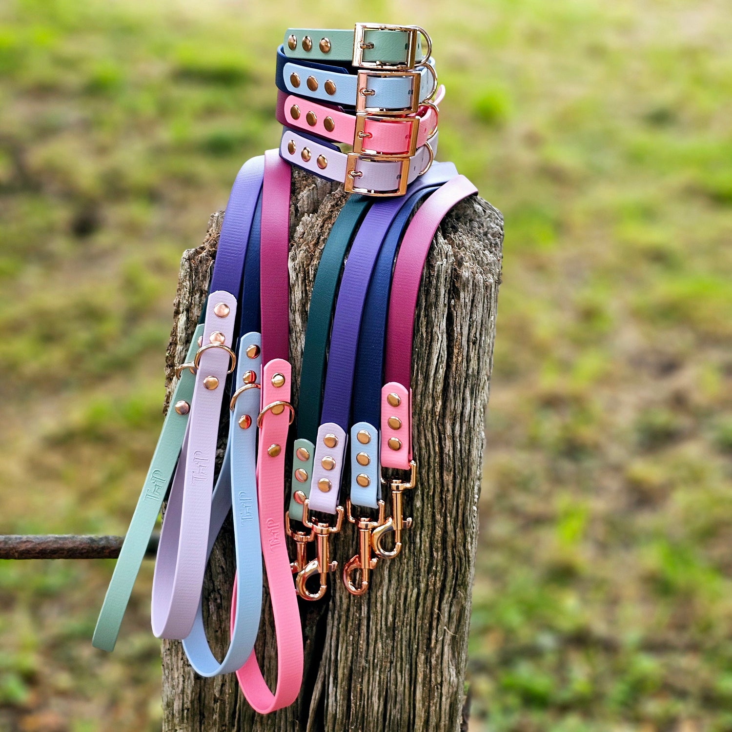 Waterproof BioThane® two-coloured Dog Collar & Lead Collection