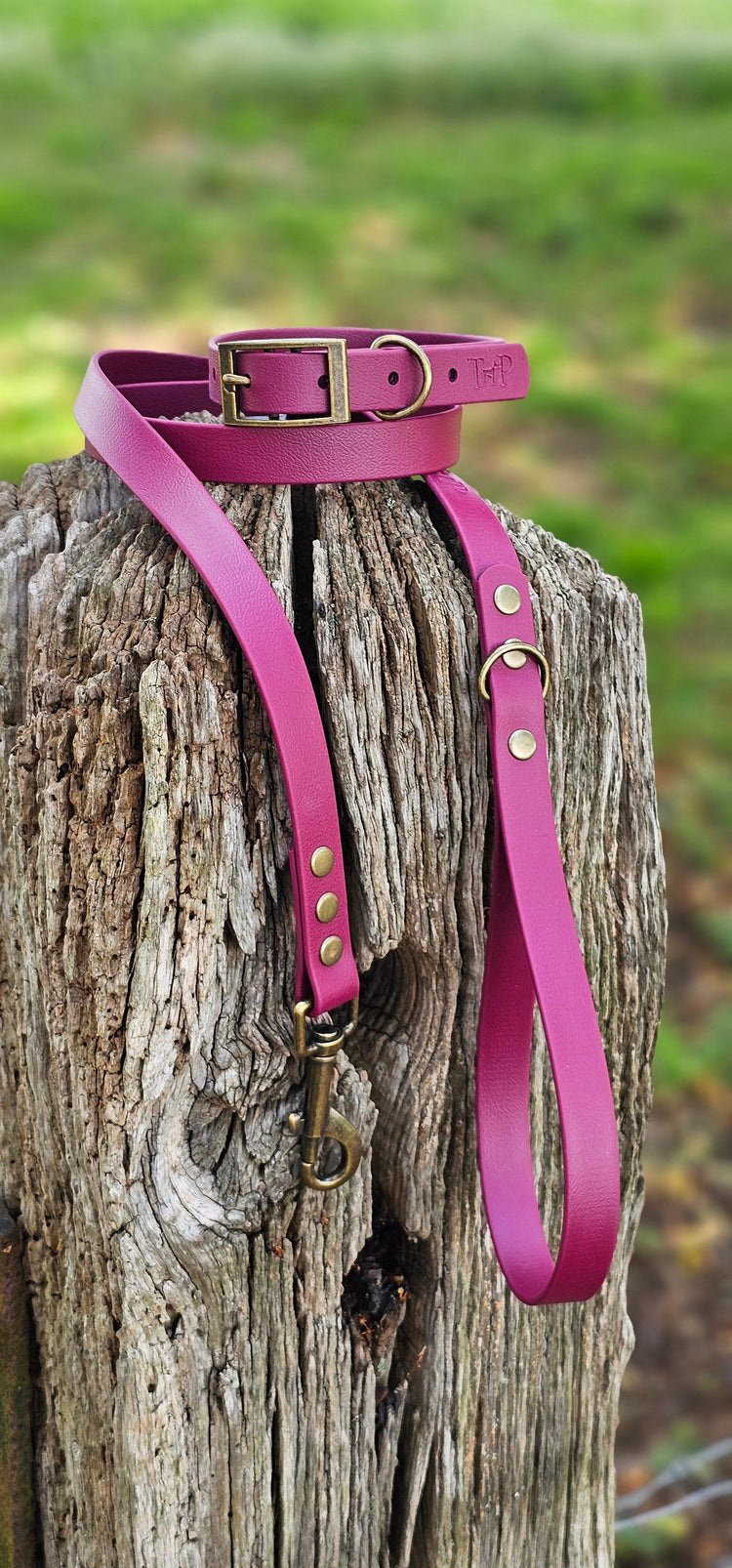 Classic Waterproof BioThane® Dog Collars and Lead Collection