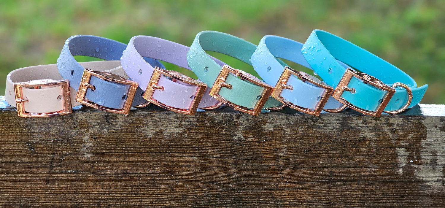 Classic waterproof BioThane® Dog Buckle Collars