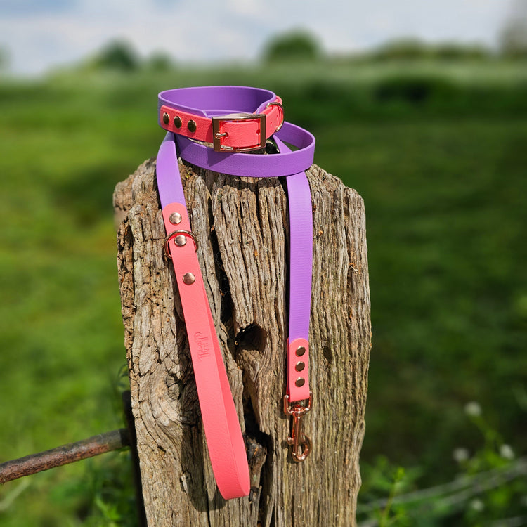 Design Your Own - Dog Collars & Dog Leads