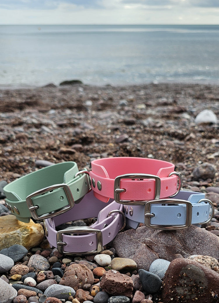 Waterproof BioThane® Sighthound Dog Collars / Wide-Fit Dog Collars