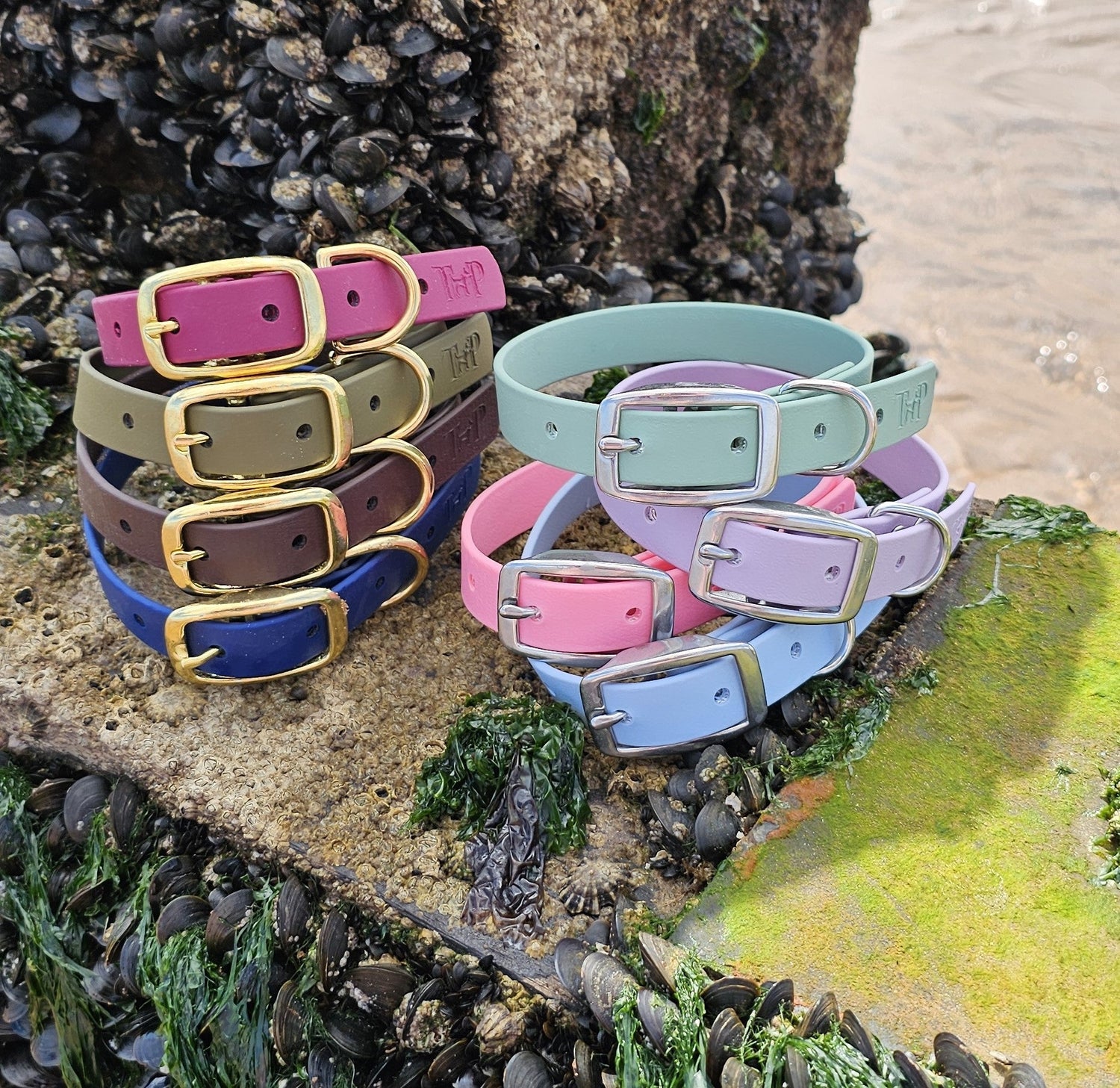 Everlast waterproof BioThane Buckle Dog Collars