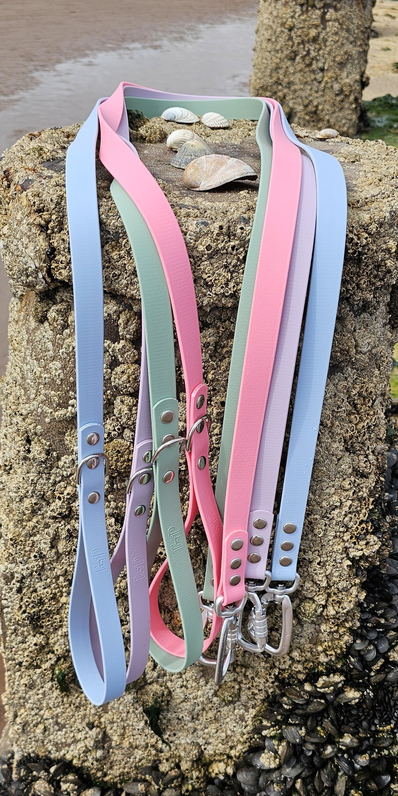 Everlast waterproof BioThane Dog Lead Collection