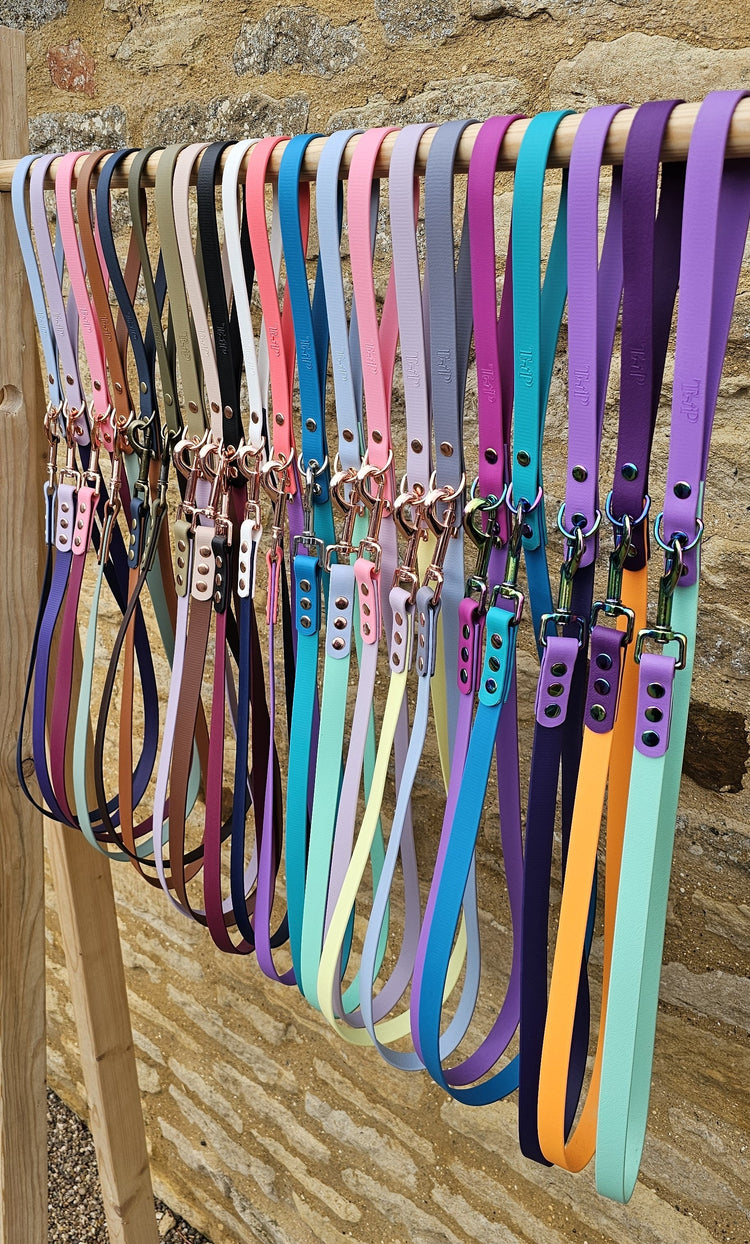 Waterproof Biothane® two-coloured Dog Leads