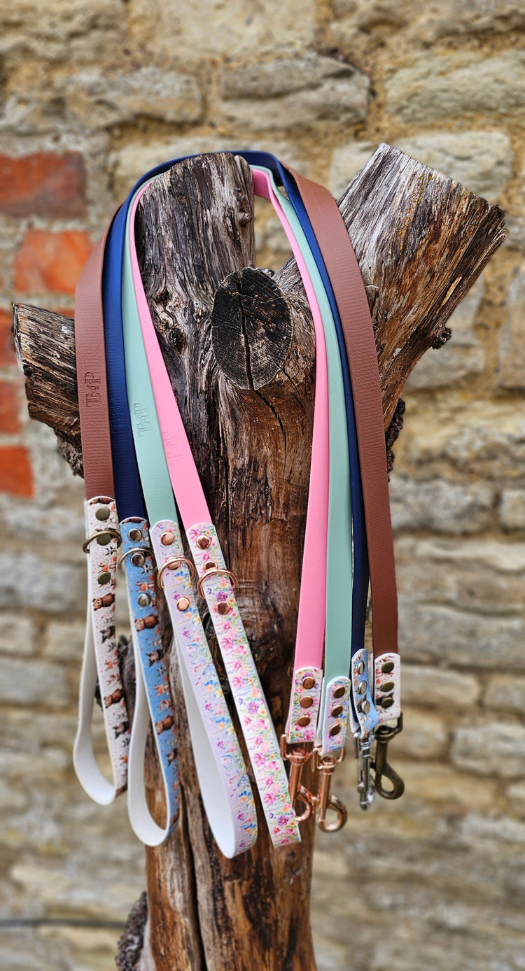 UV-Printed BioThane® Dog Leads