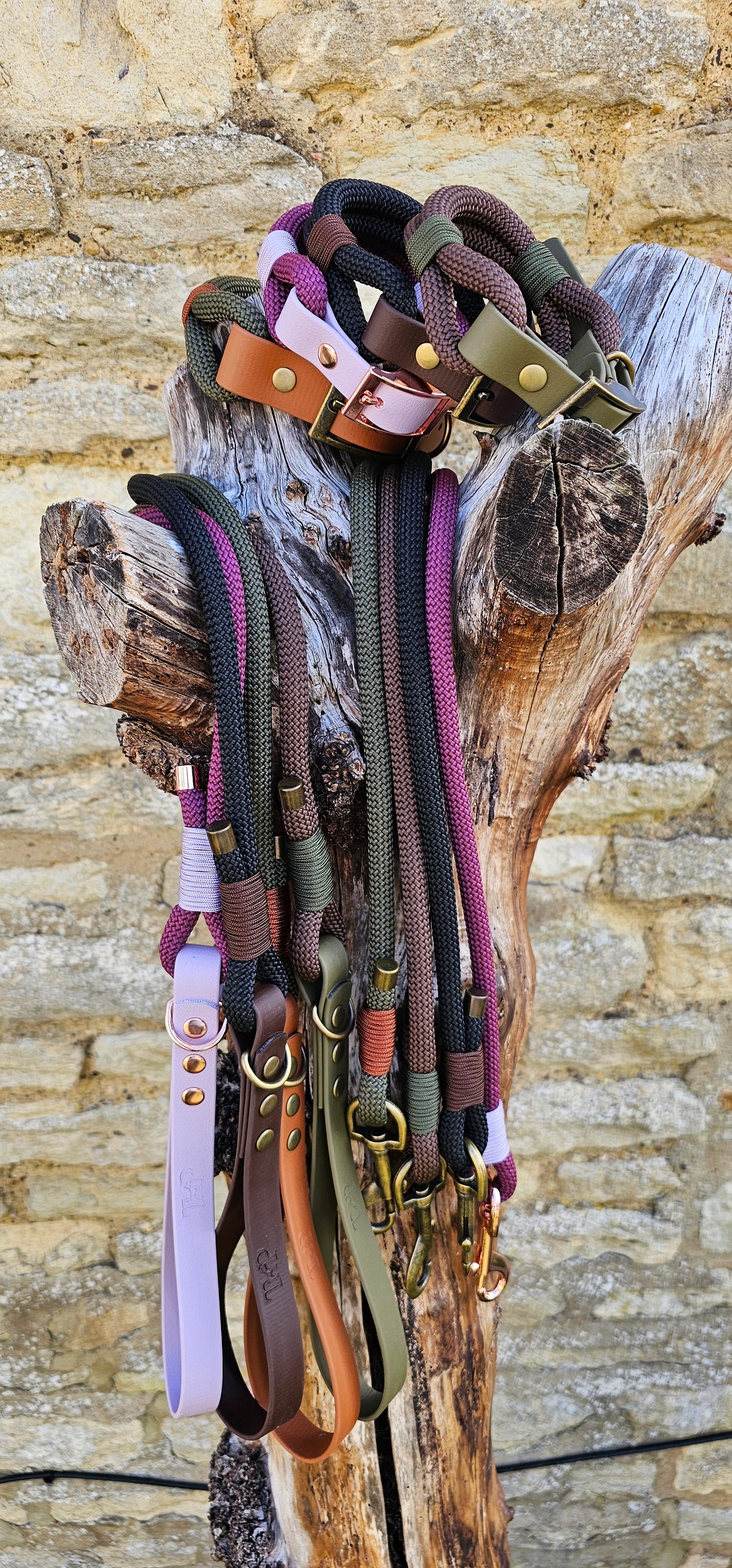 Classic Rope Dog Collar and Lead Collection
