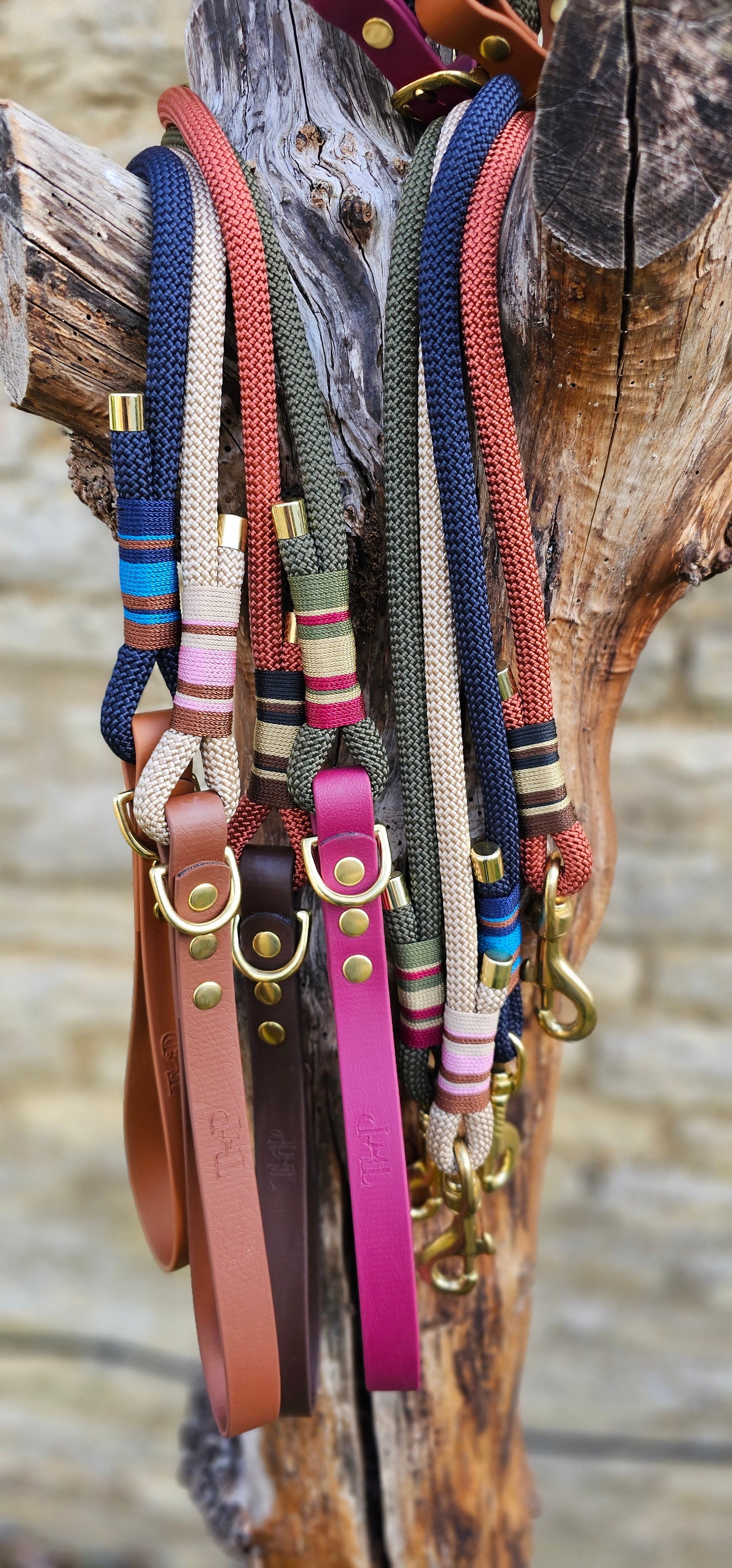 Premium & Classic Rope Dog Leads