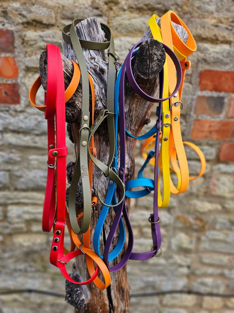 Waterproof BioThane® Figure of 8 Dog Leads