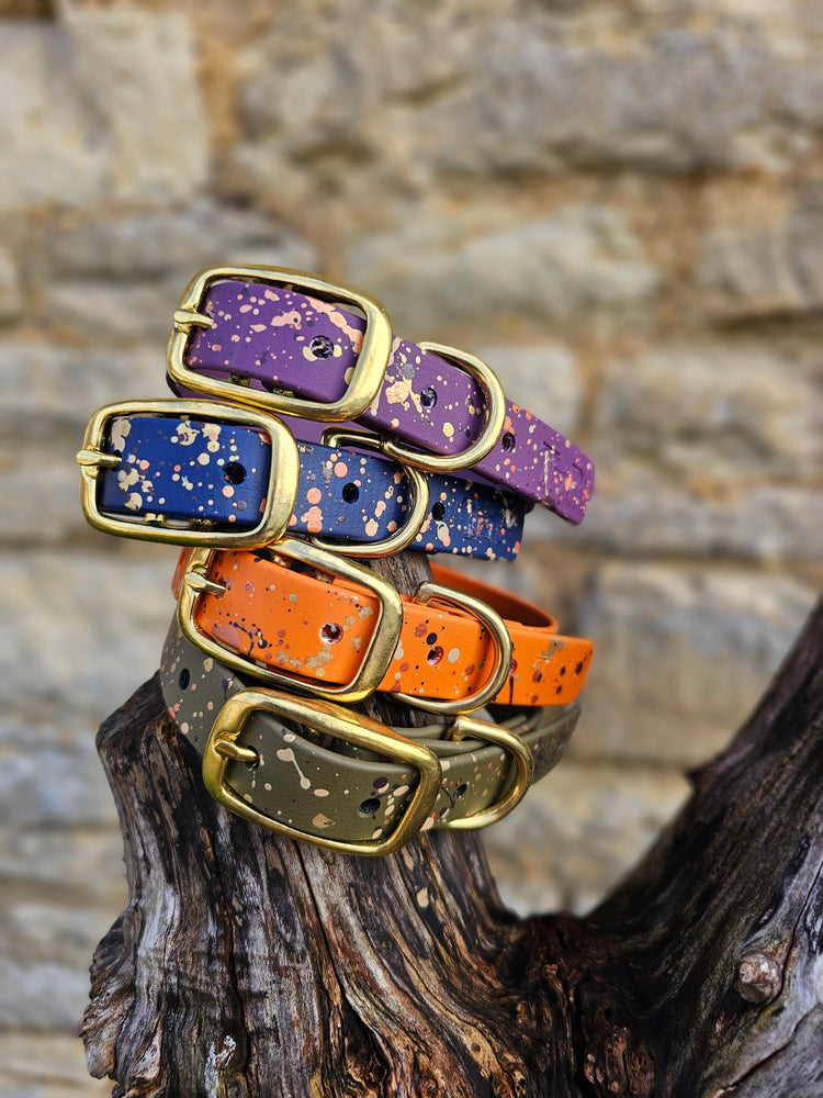 Limited Edition Biothane Dog Buckle Collars