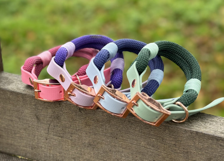 Classic Rope Dog Collars