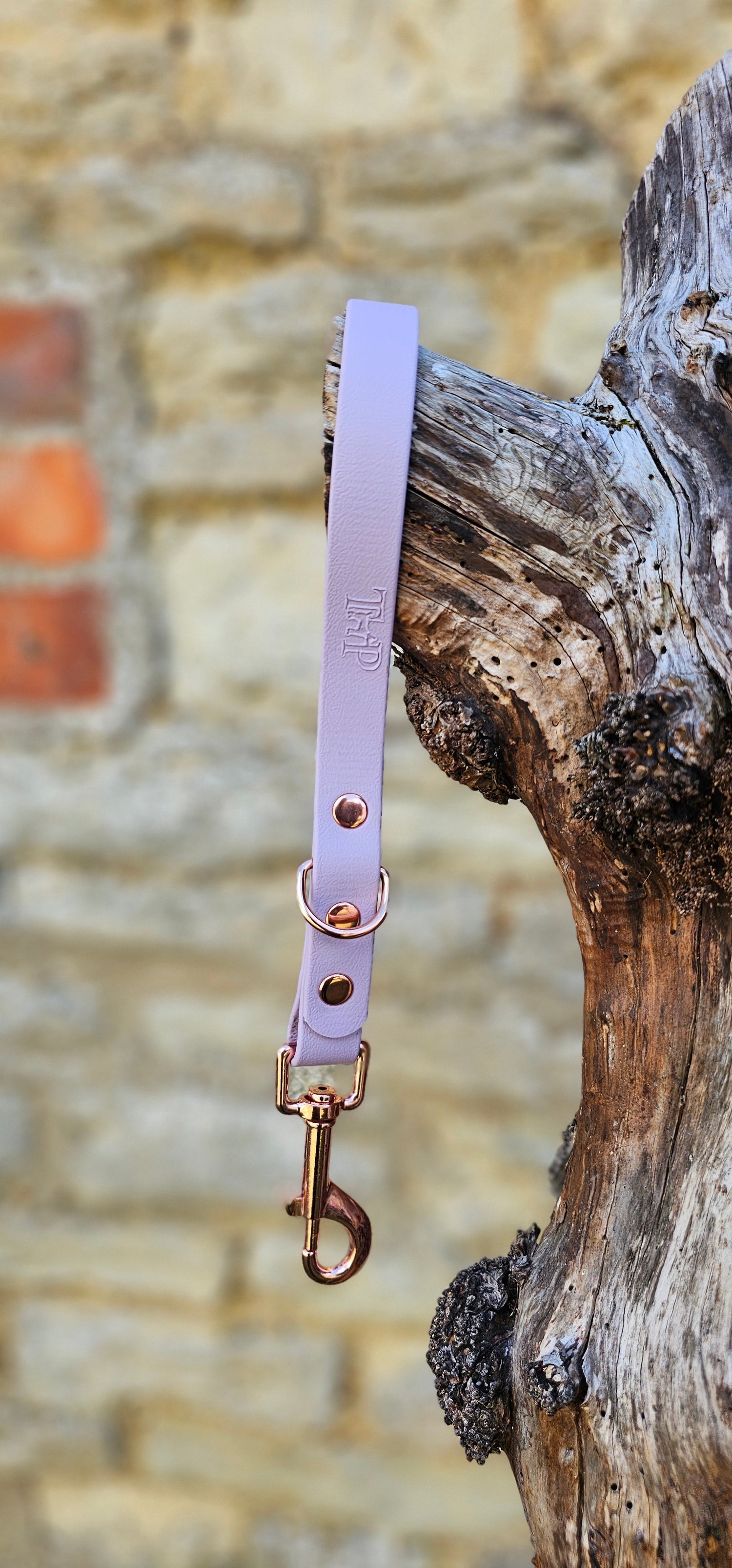 Waterproof BioThane Traffic Leash / Dog Traffic Handle