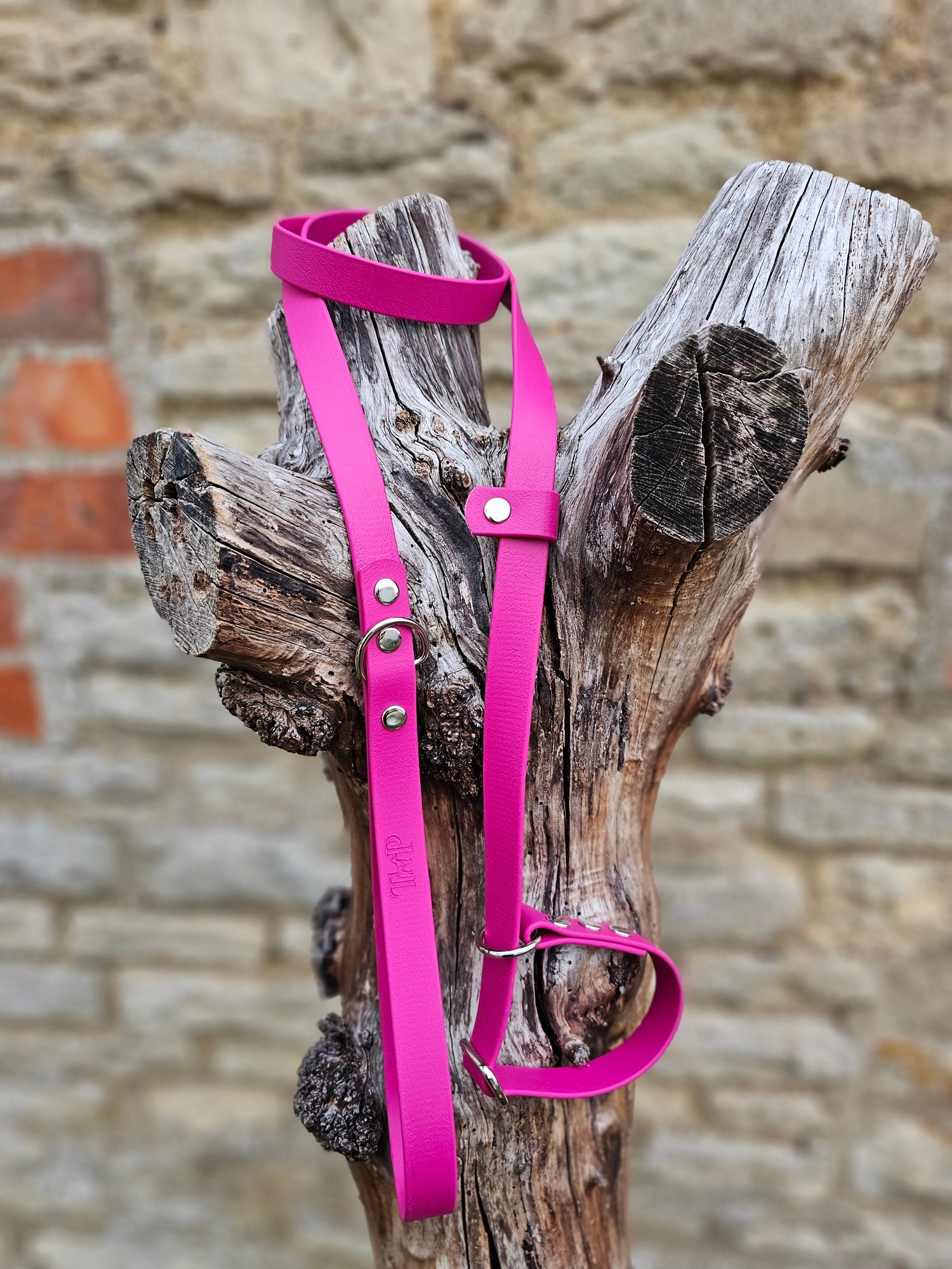 Waterproof BioThane® Dog Slip Leads