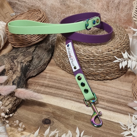 Warm Purple / Mint RB - (90cm length / Regular) Waterproof Webbing Dog Lead