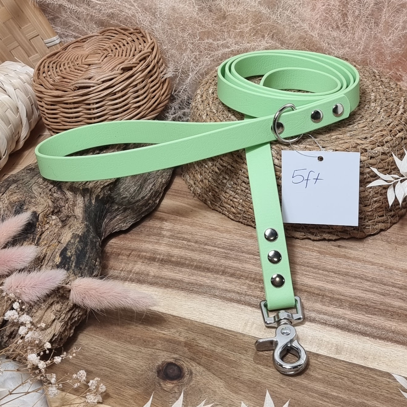 Pistachio - (150cm length / Slim) Biothane Dog Lead
