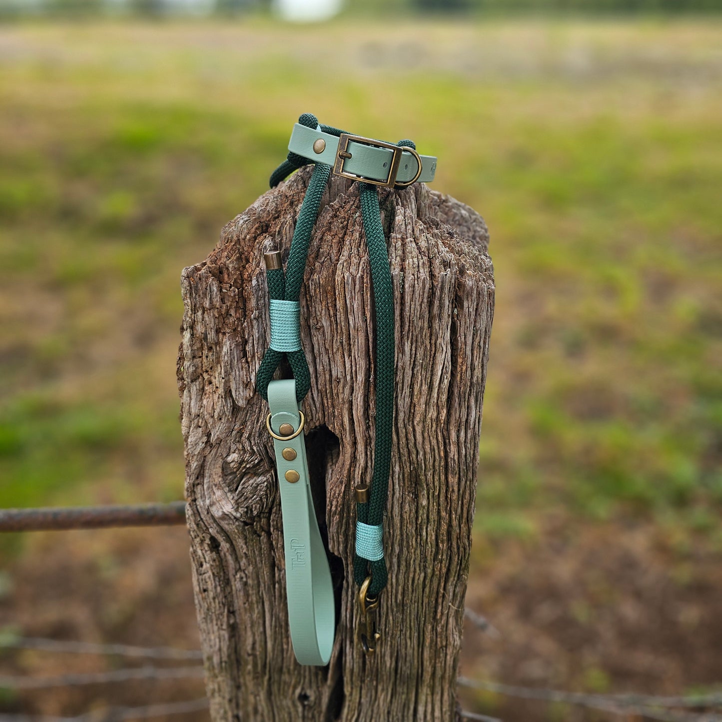 Dark Green & Sage - Classic Rope Dog Lead
