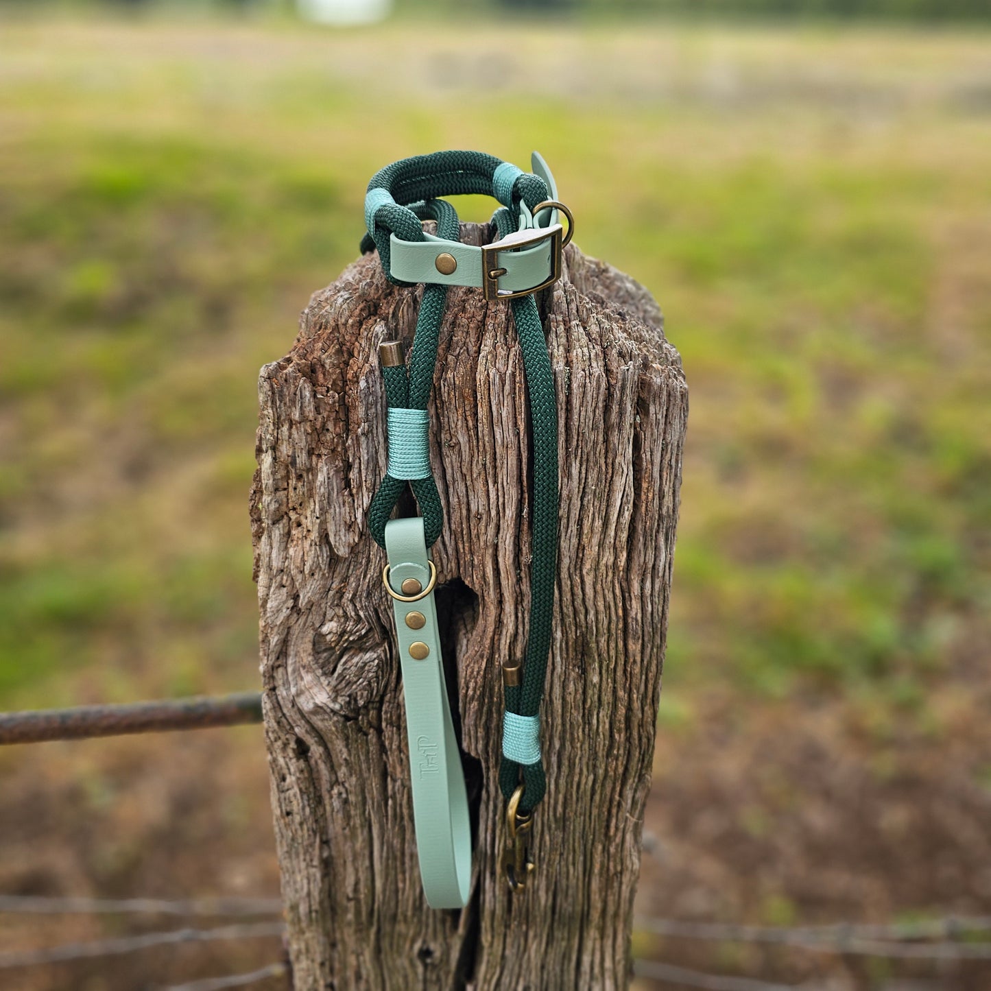 Dark Green & Sage - Classic Rope Dog Lead