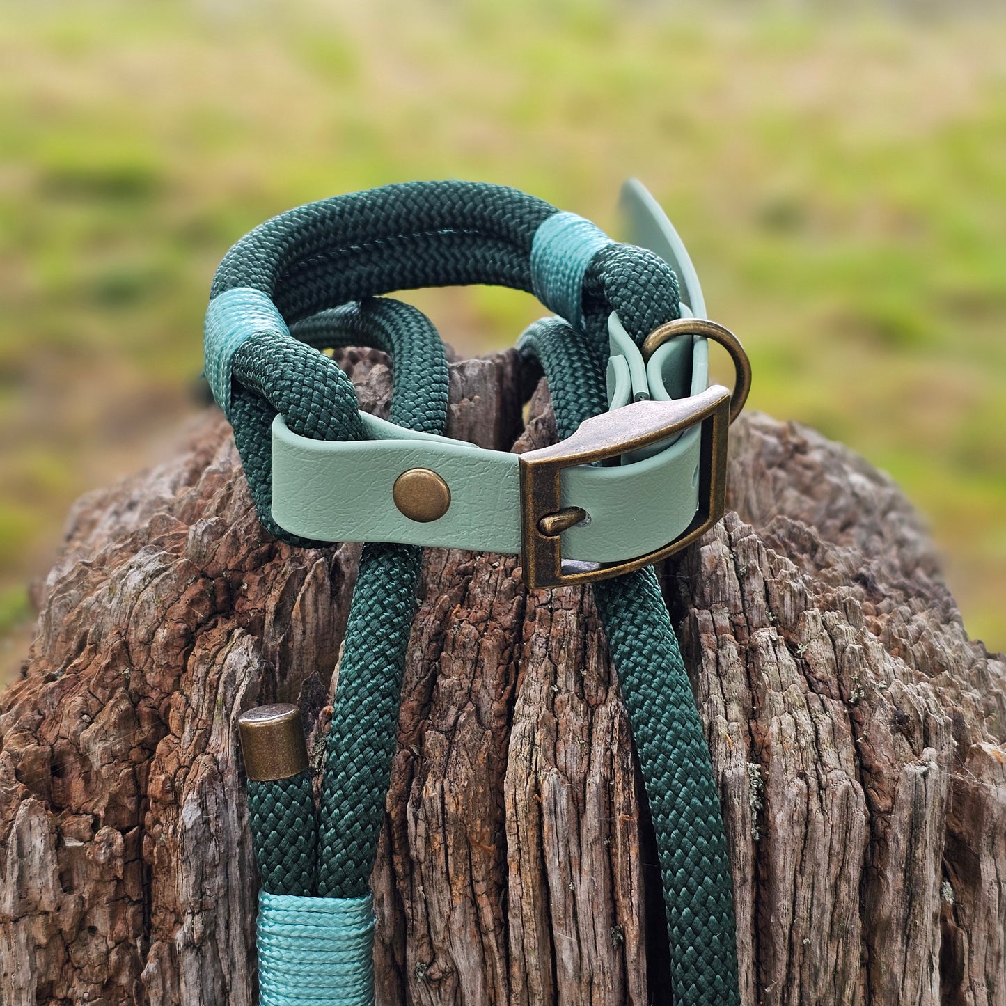 Rope BioThane© Dog Collar - Design Your Own