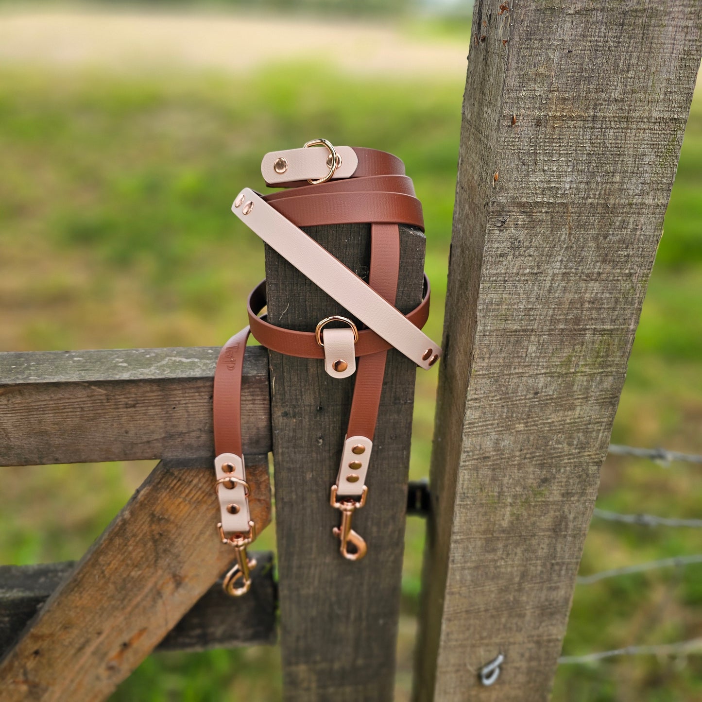 Brown & Powder Pearl - Waterproof BioThane© handsfree Dog Training Lead