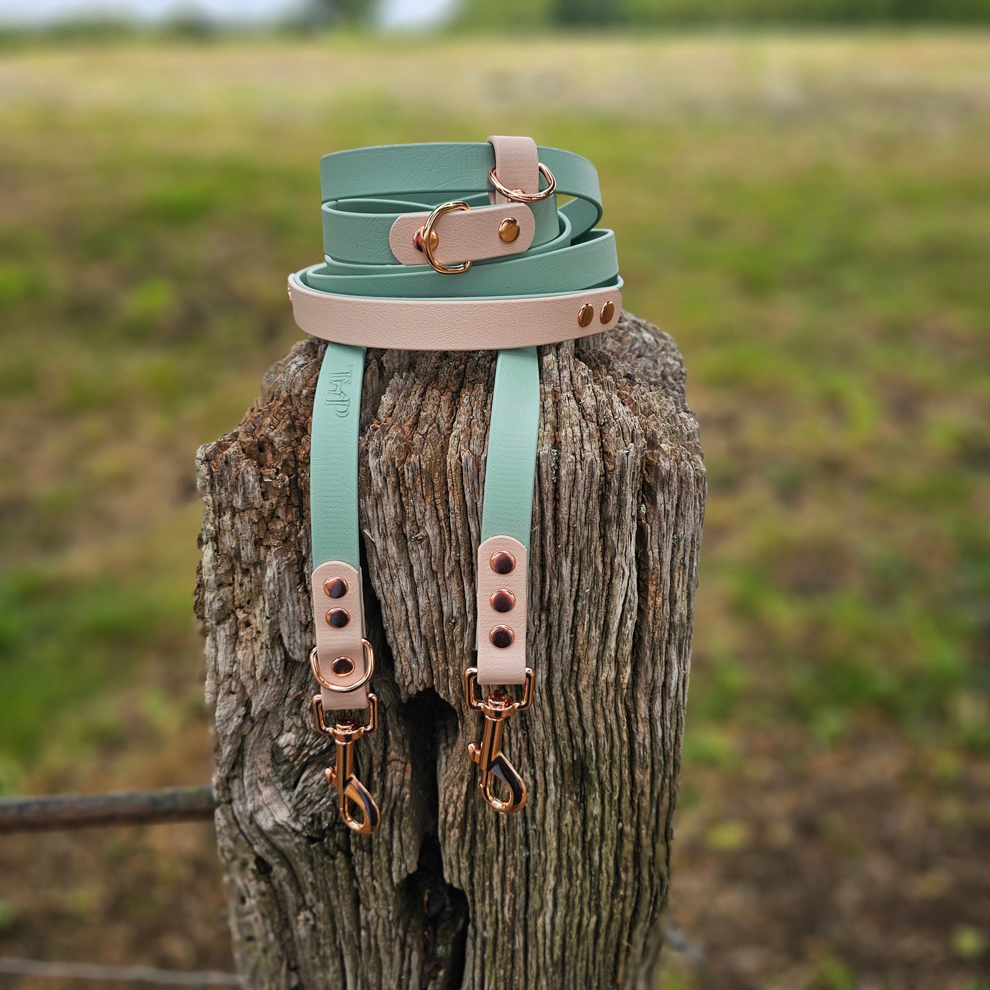 Sage & Powder Pearl - Waterproof BioThane© handsfree Dog Training Lead