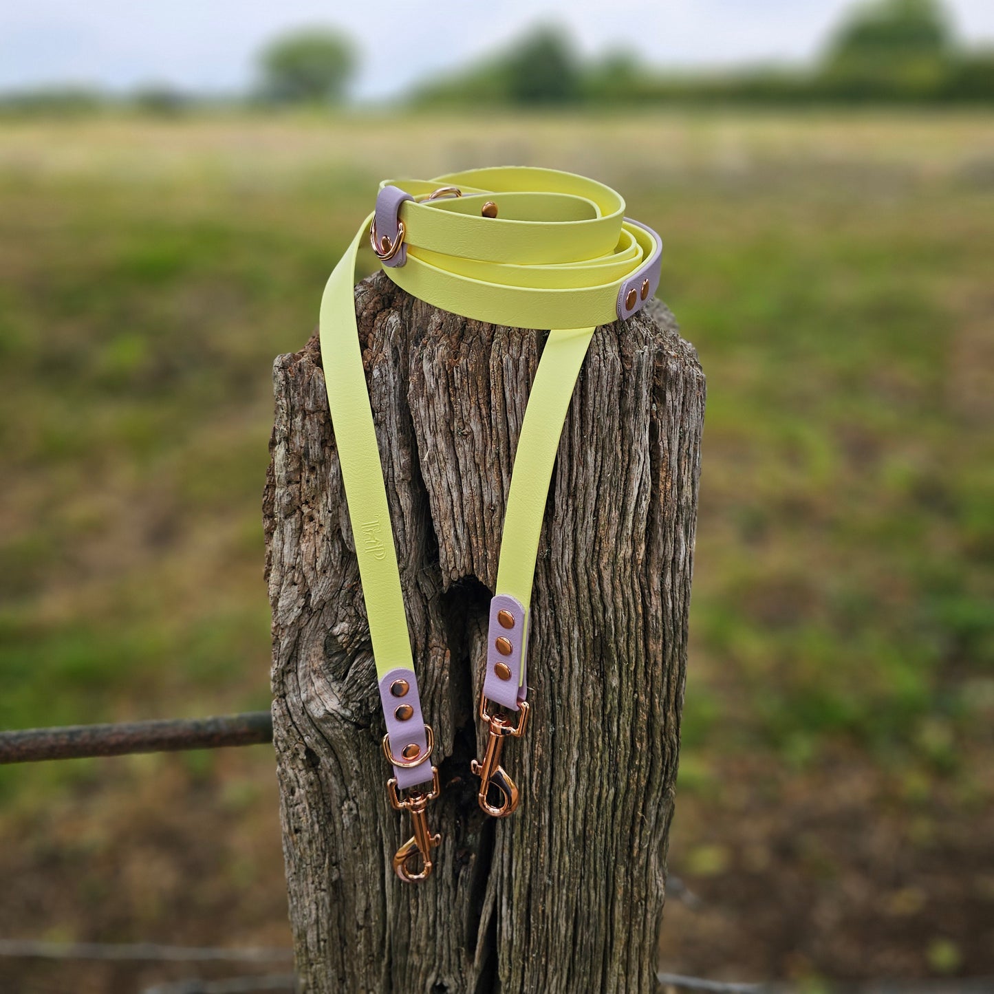 Lemon & Lilac - Waterproof BioThane© handsfree Dog Training Lead