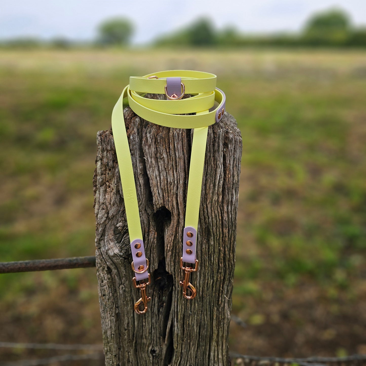 Lemon & Lilac - Waterproof BioThane© handsfree Dog Training Lead