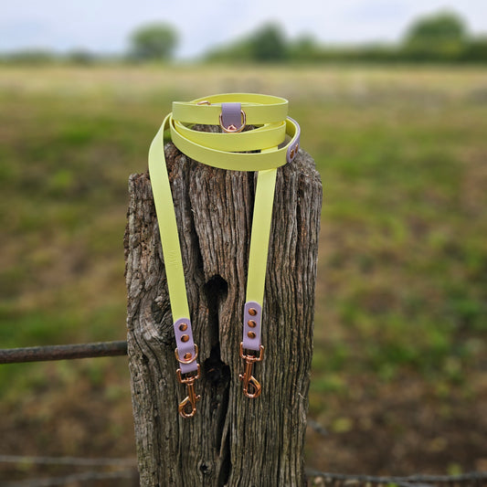 Lemon & Lilac - Waterproof BioThane© handsfree Dog Training Lead
