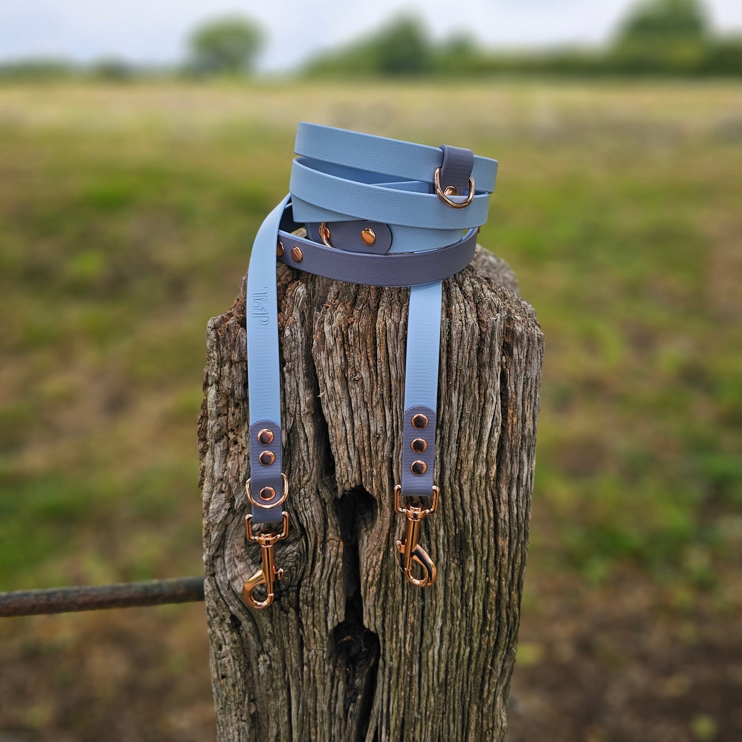 Baby Blue & Grey - Waterproof BioThane© handsfree Dog Training Lead