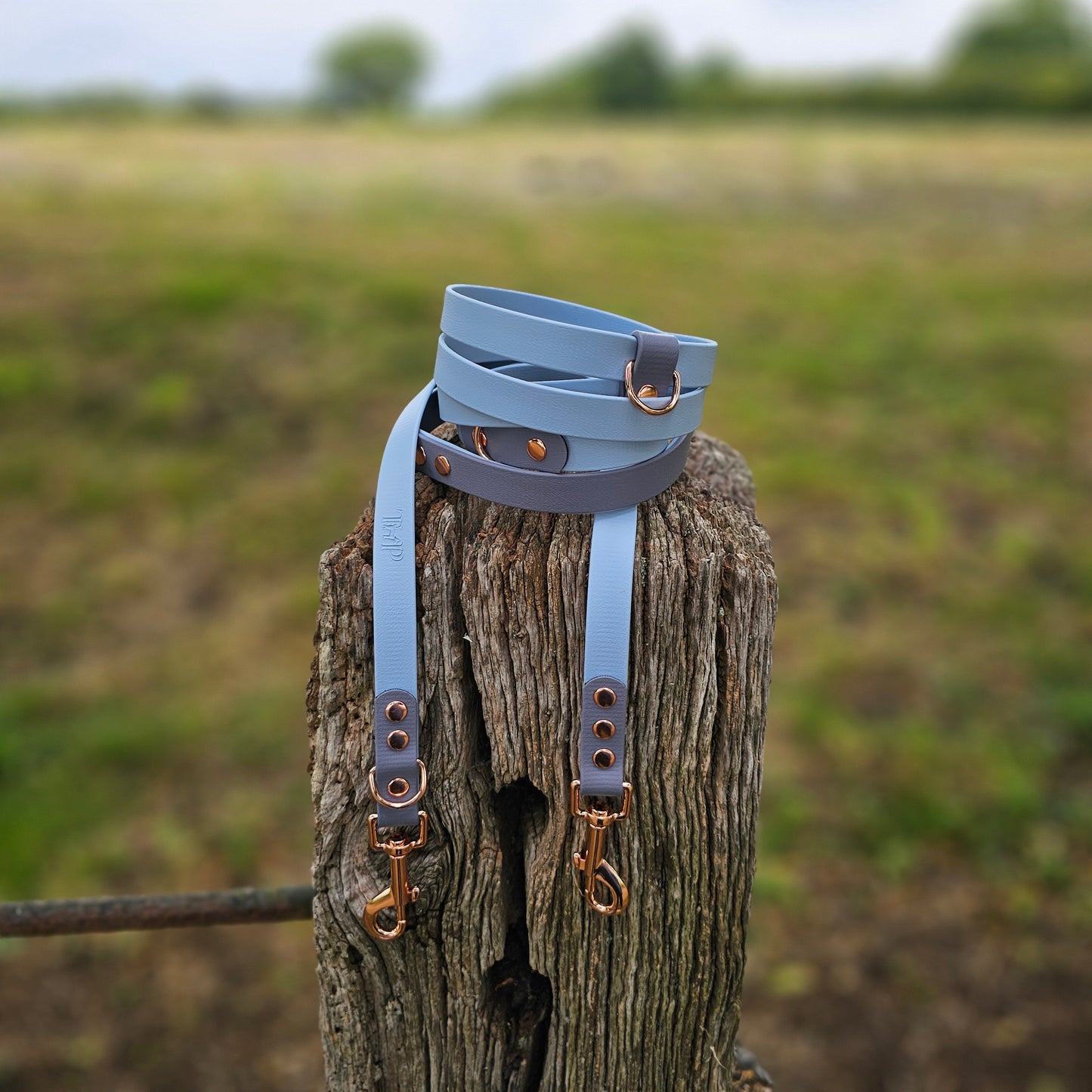 Baby Blue & Grey - Waterproof BioThane© handsfree Dog Training Lead