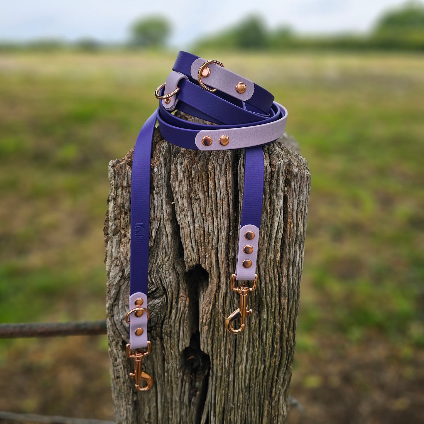 Purple & Lilac - Waterproof BioThane© handsfree Dog Training Lead