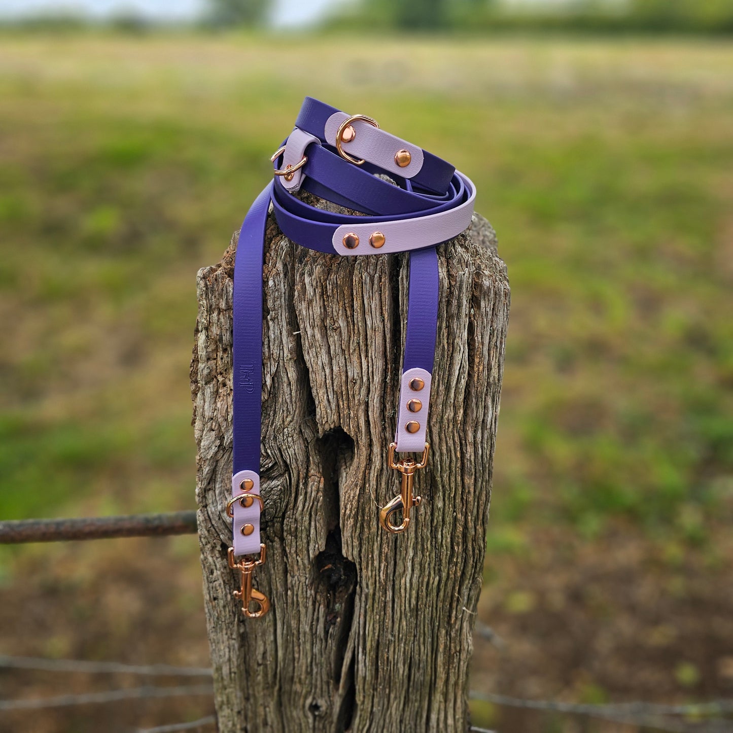 Purple & Lilac - Waterproof BioThane© handsfree Dog Training Lead