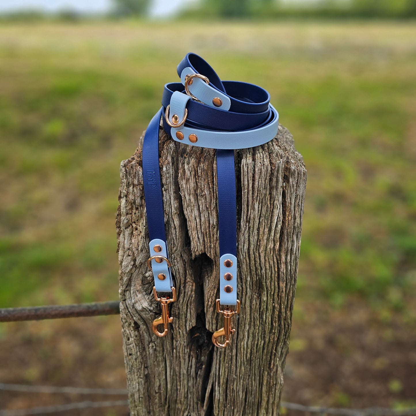 Navy & Baby Blue - Waterproof BioThane© handsfree Dog Training Lead