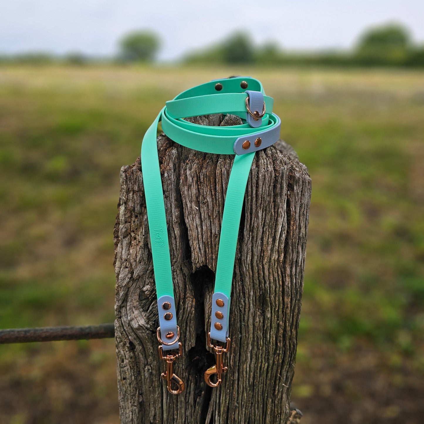 Mint & Baby Blue - Waterproof BioThane© handsfree Dog Training Lead