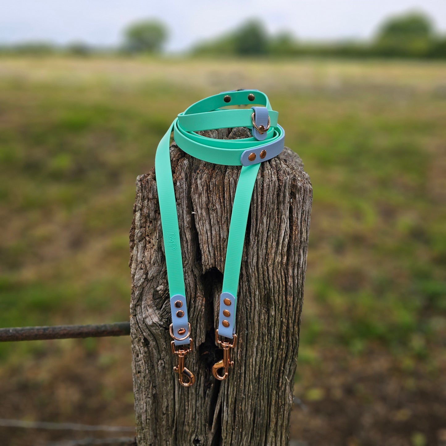 Mint & Baby Blue - Waterproof BioThane© handsfree Dog Training Lead