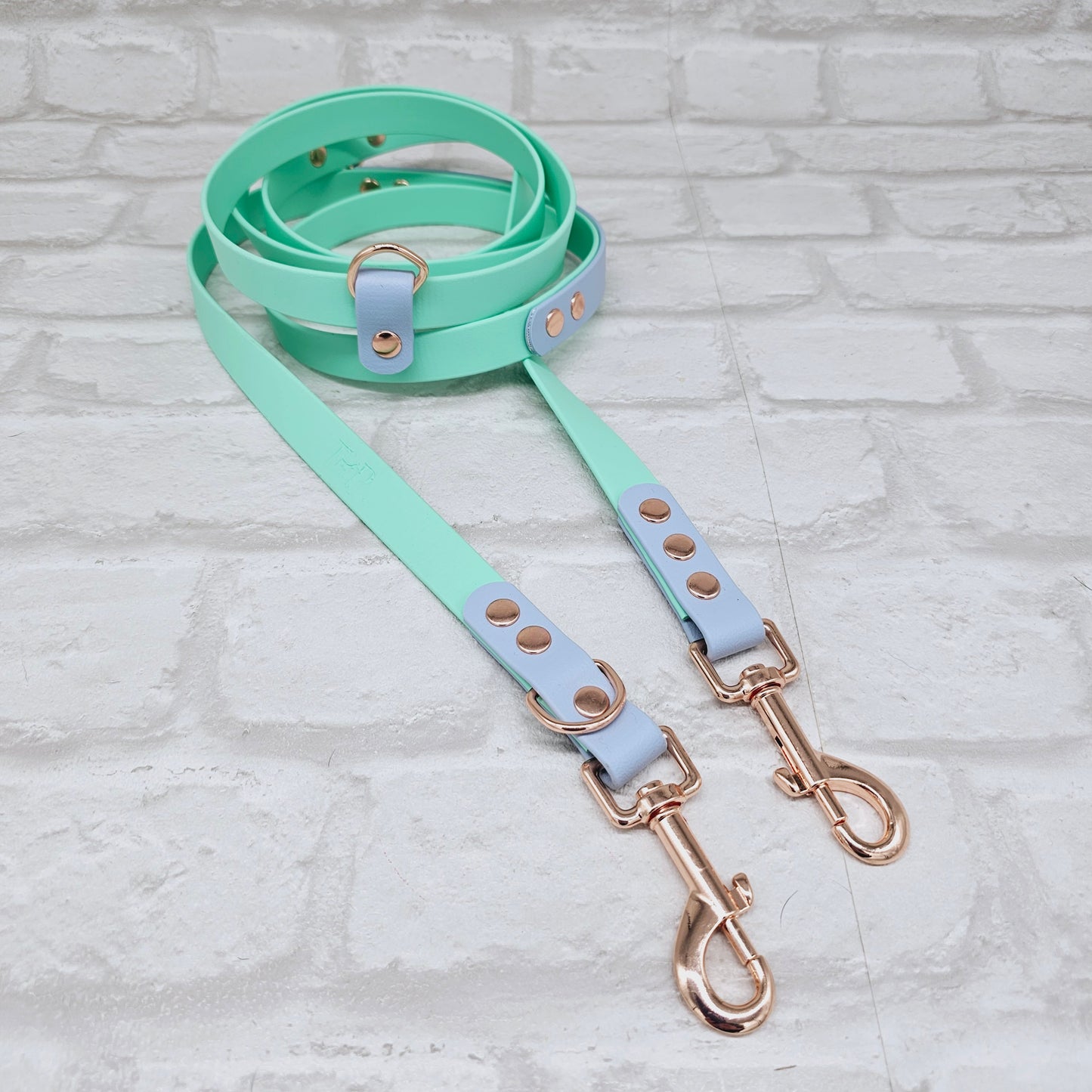 Mint & Baby Blue - Waterproof BioThane© handsfree Dog Training Lead