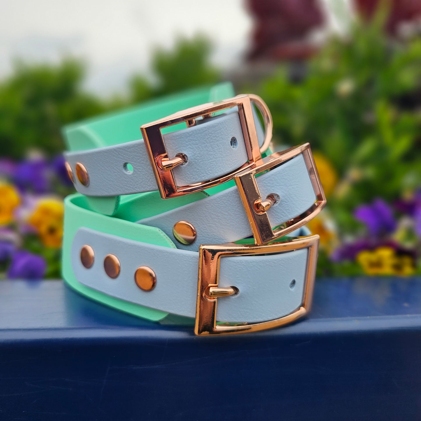 Waterproof BioThane© two-coloured Sighthound wide-fit Dog Collar - Design Your Own