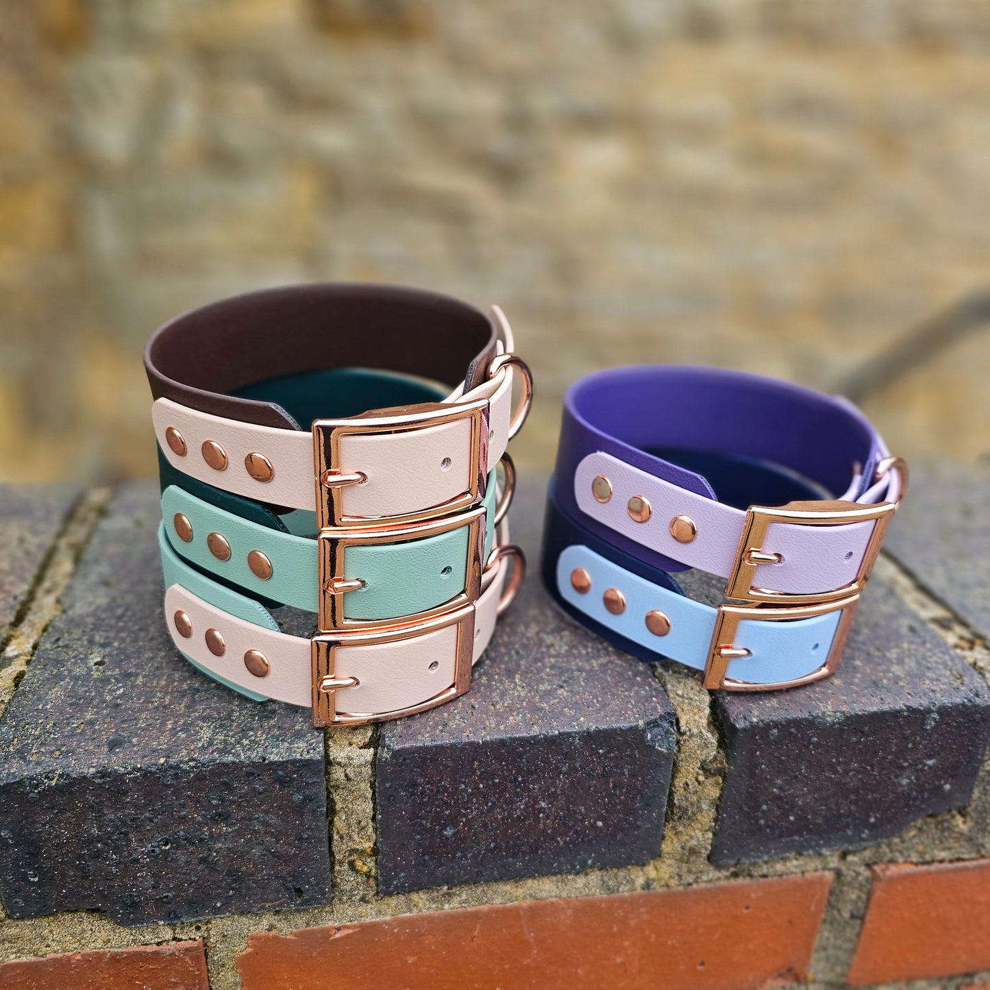 Waterproof BioThane© two-coloured Sighthound wide-fit Dog Collar - Design Your Own