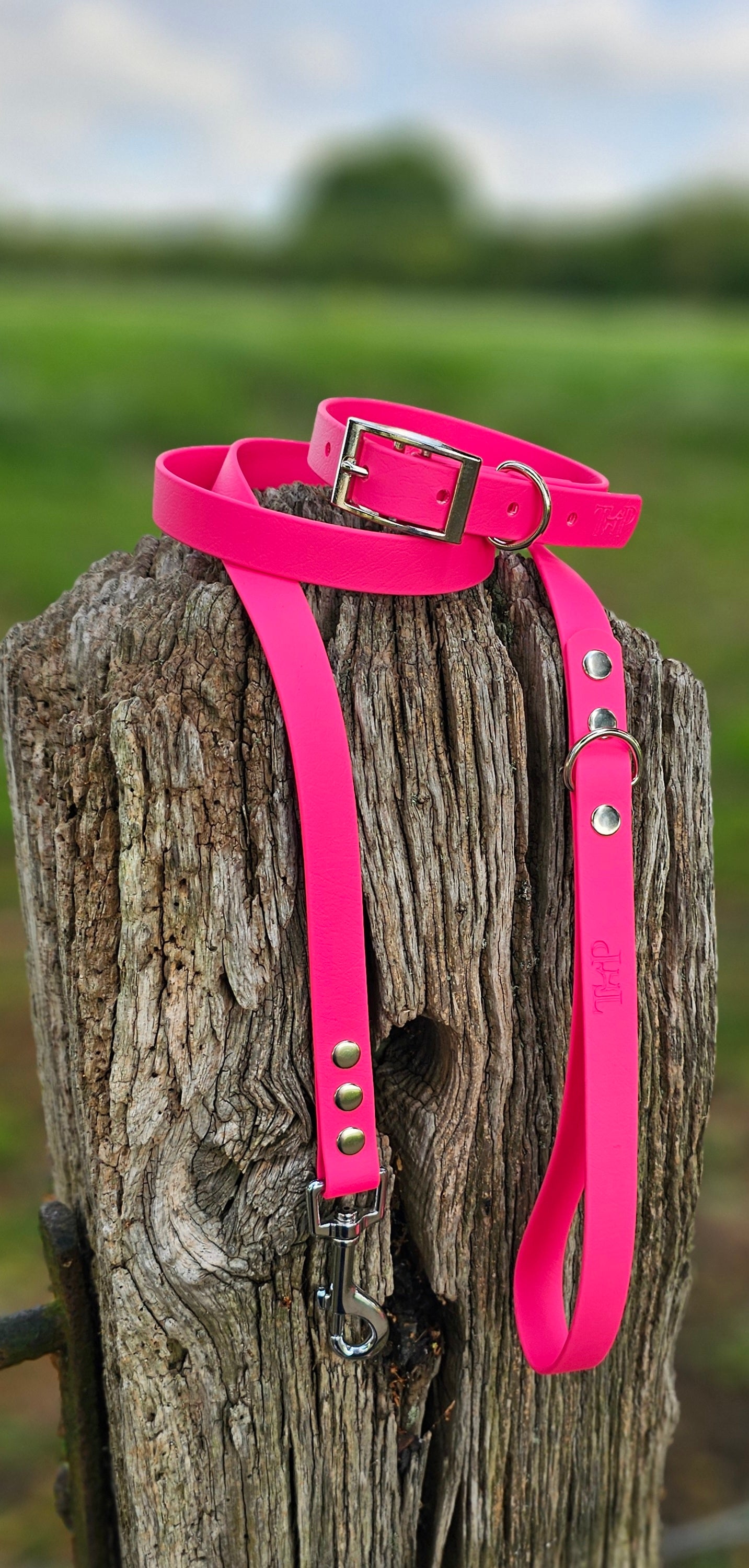 Passion Pink - Waterproof BioThane© Dog Collar