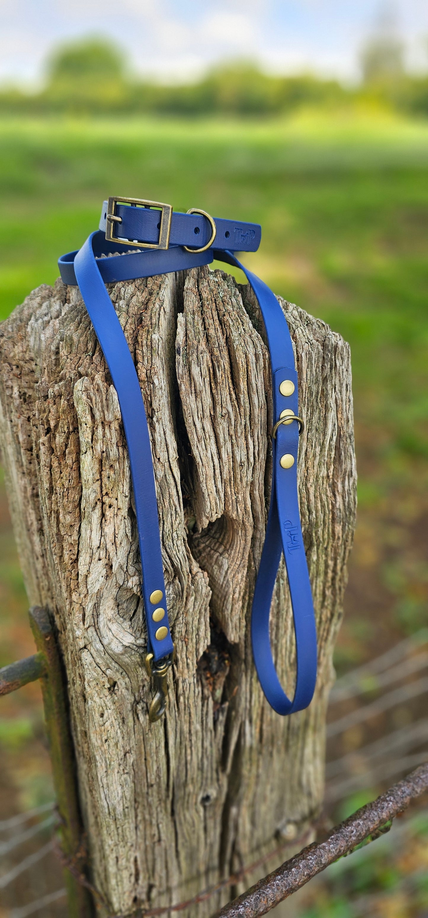 Navy - Waterproof BioThane© Dog Collar