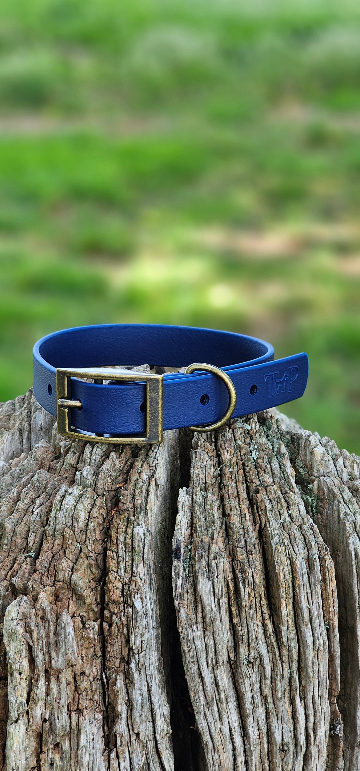 Navy - Waterproof BioThane© Dog Collar